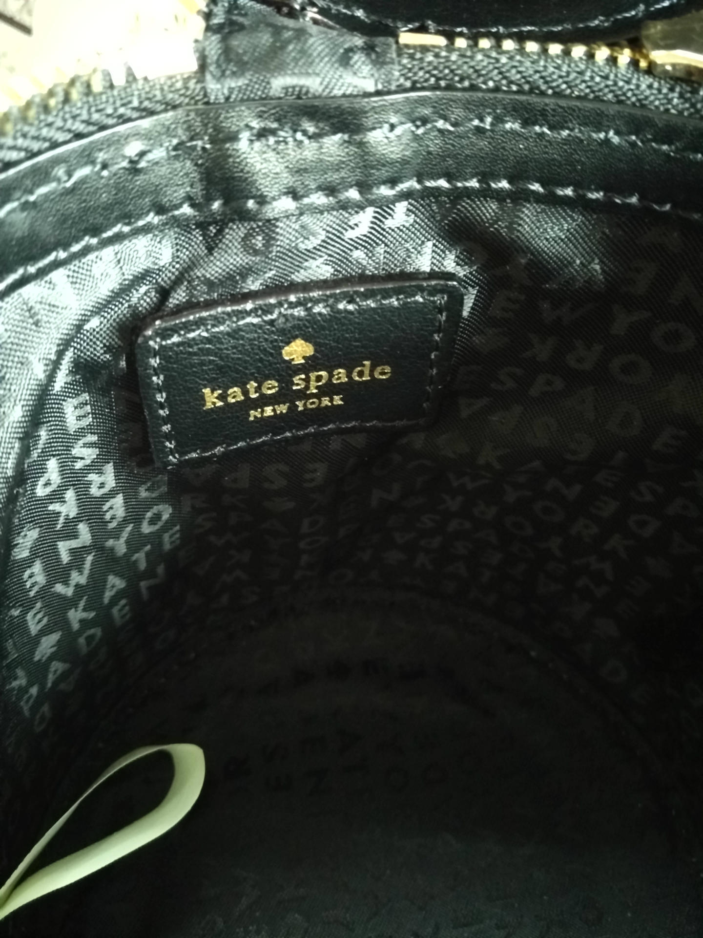 IMG_20151026_082603_HHT