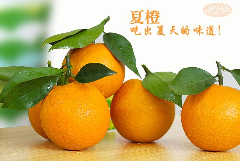 类似蜜x蜜水果糖的_柑类水果有哪些_柑桔类水果都有哪些