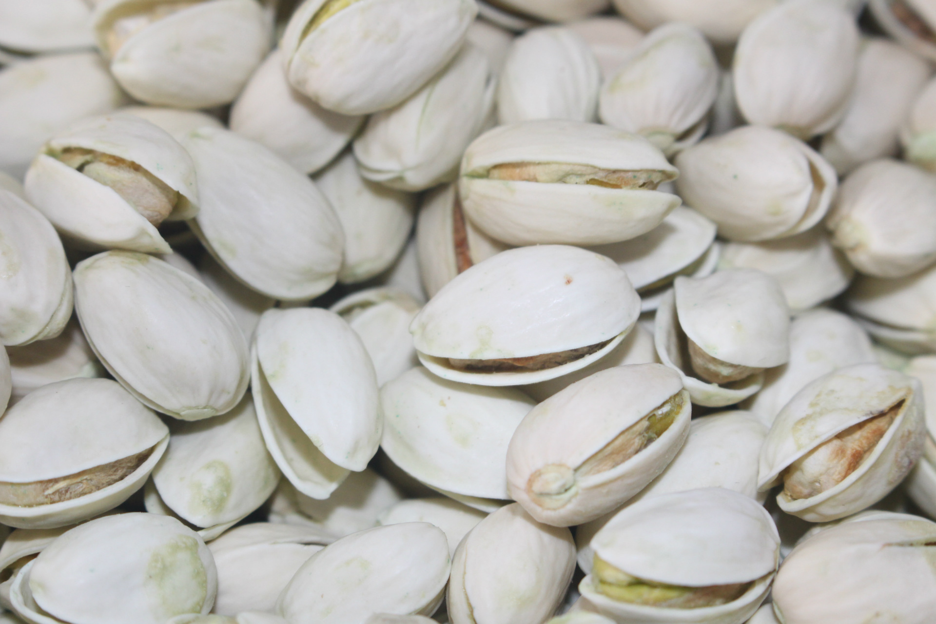 干果炒货生产厂家 原色伊朗开心果批发 散装 30斤/箱 大粒 - 食品饮料