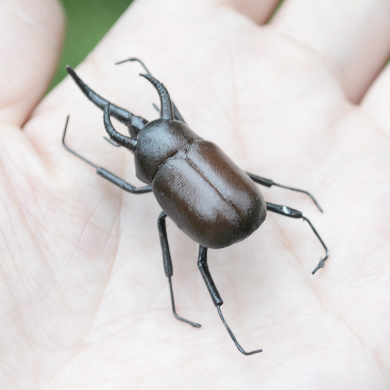 蟑螂,大瓢虫,小瓢虫,野蜂,家蜂,蝙蝠,蚂蚁,天牛,大丽金龟 ,椿橡虫类