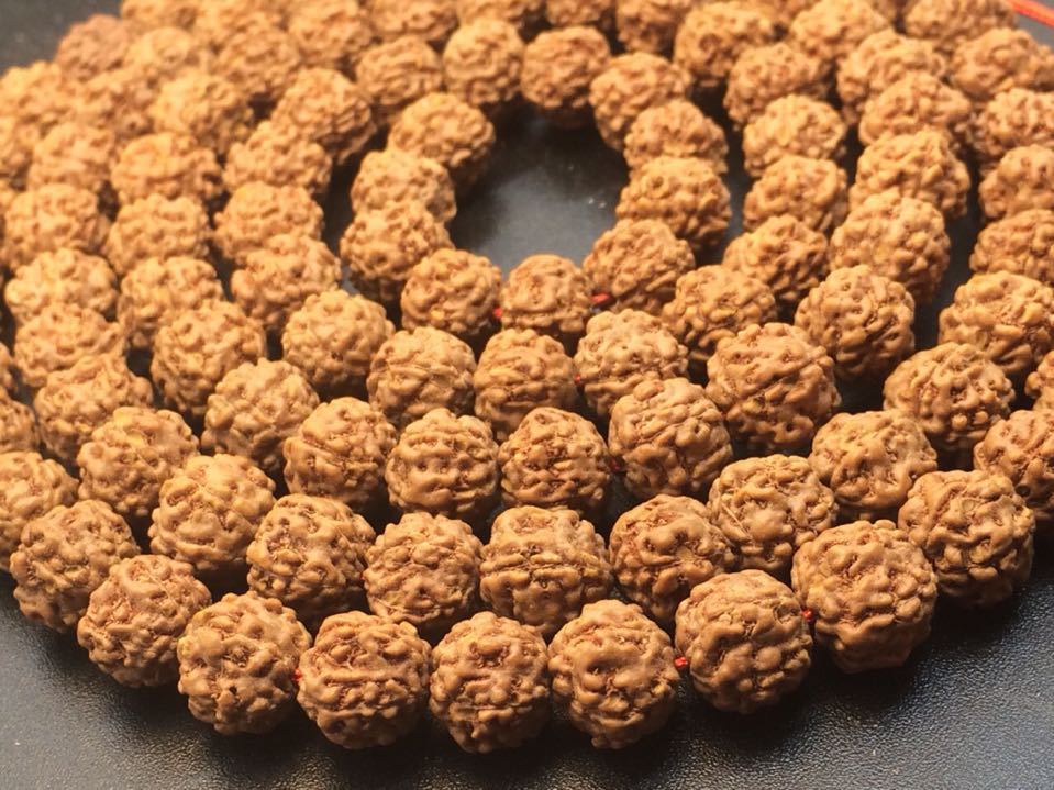 麒麟纹小金刚菩提子 红皮矮桩 高密 五掰麒麟小金刚 8-9mm116颗