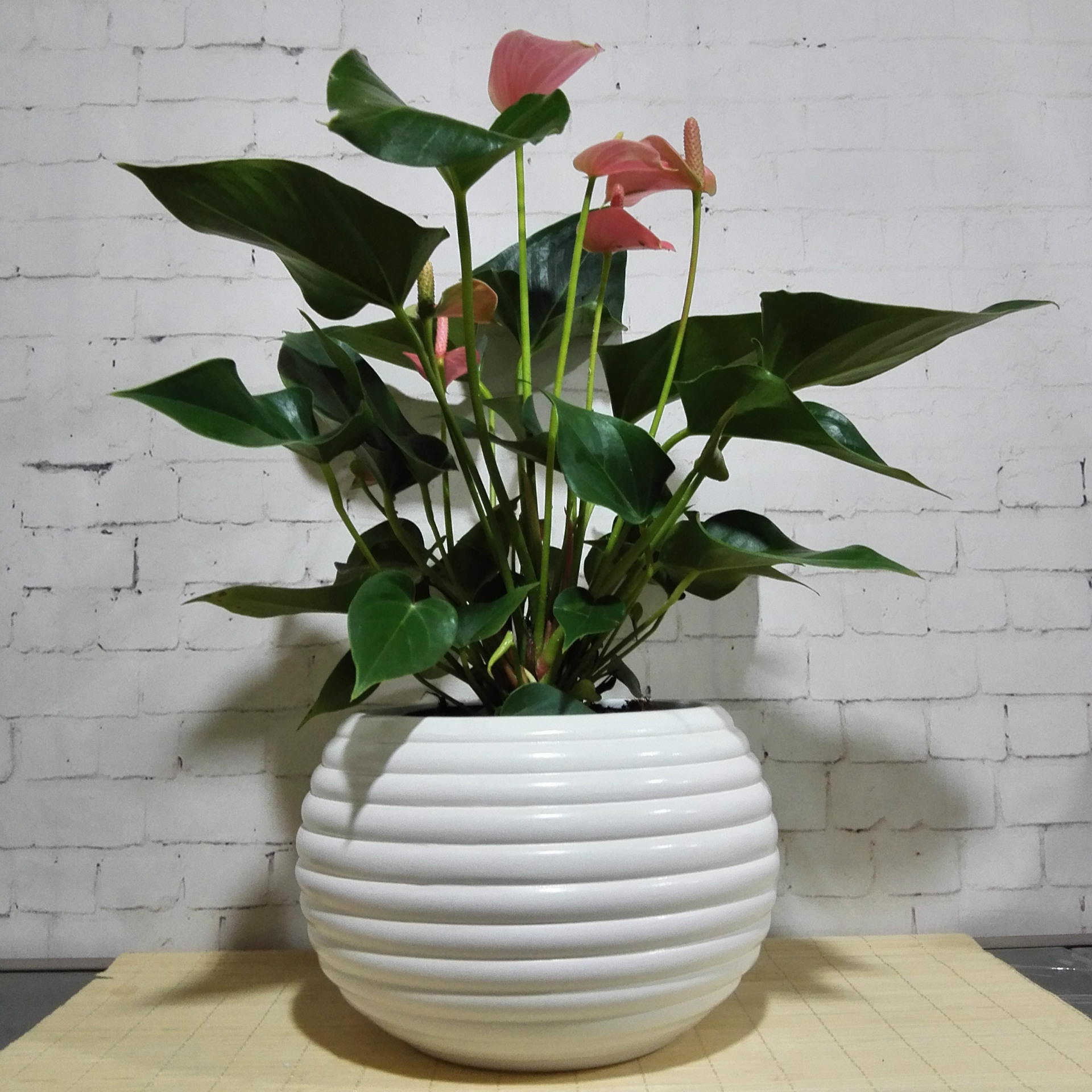 用心做好阿里巴巴,把陶瓷花盆做精,做强