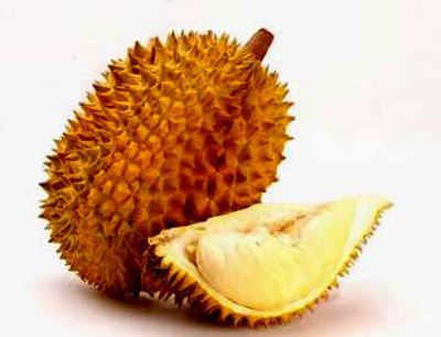 榴莲1
