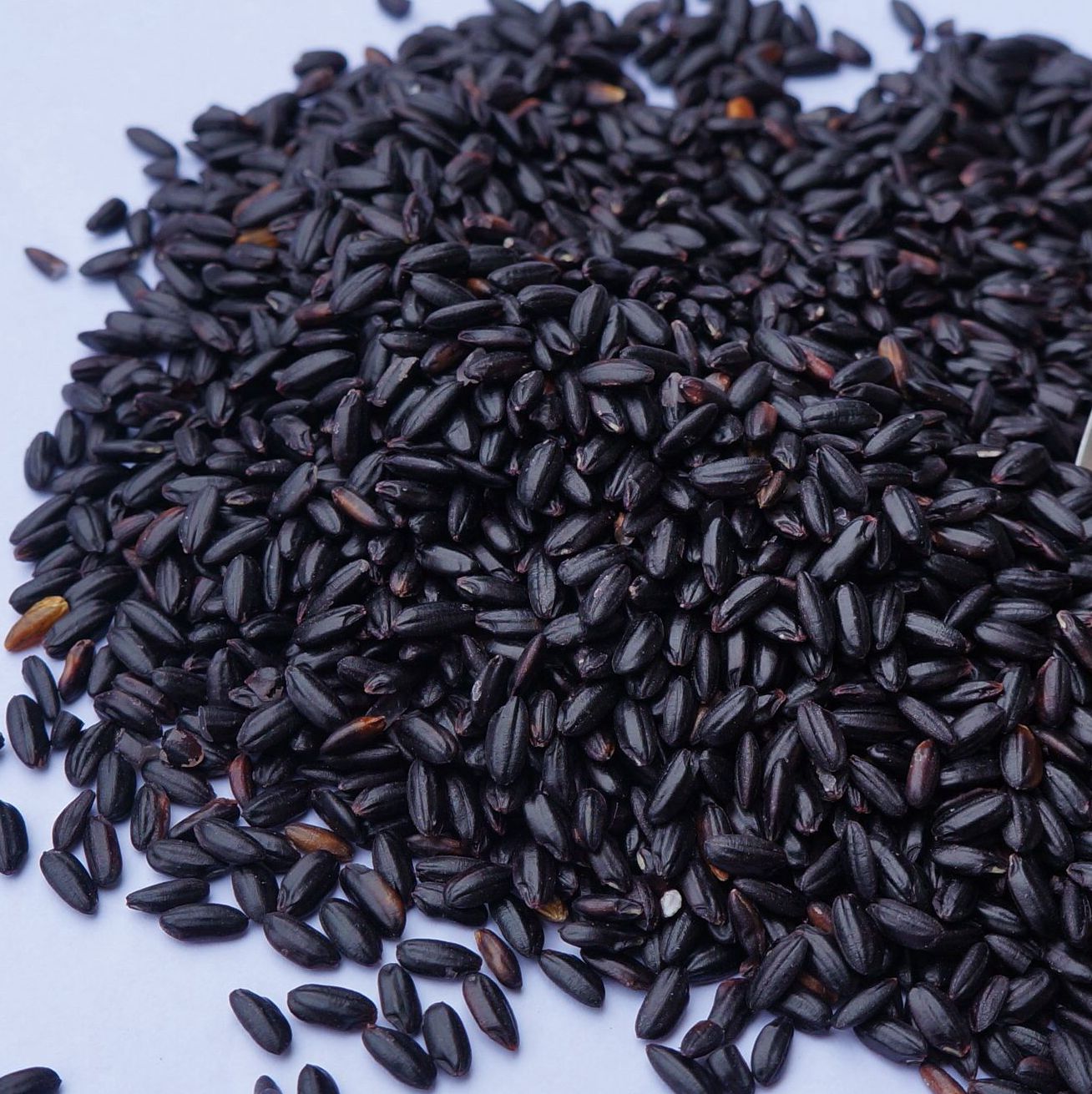 批发无公害五谷杂粮黑五谷天然黑米黑香米零添加非转基因健康养.