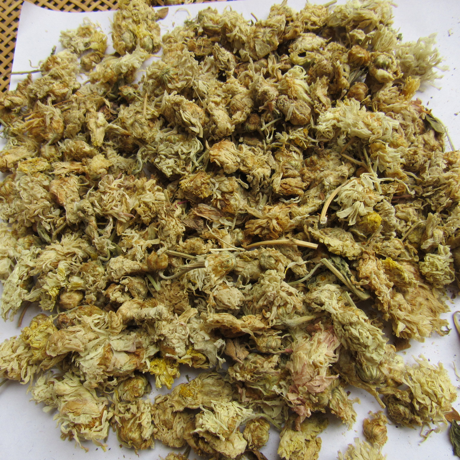 批发中药材白菊花药用白菊花2016年新货