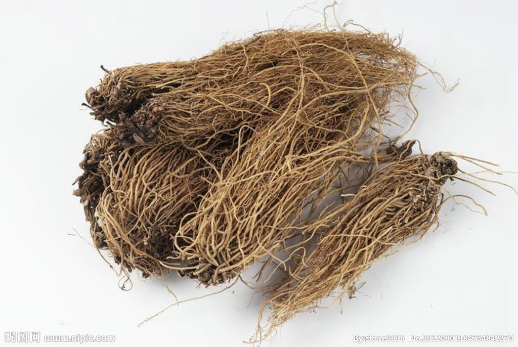 白龙须 白薇提取物 10:1 厂家直供 包邮 1kg起订