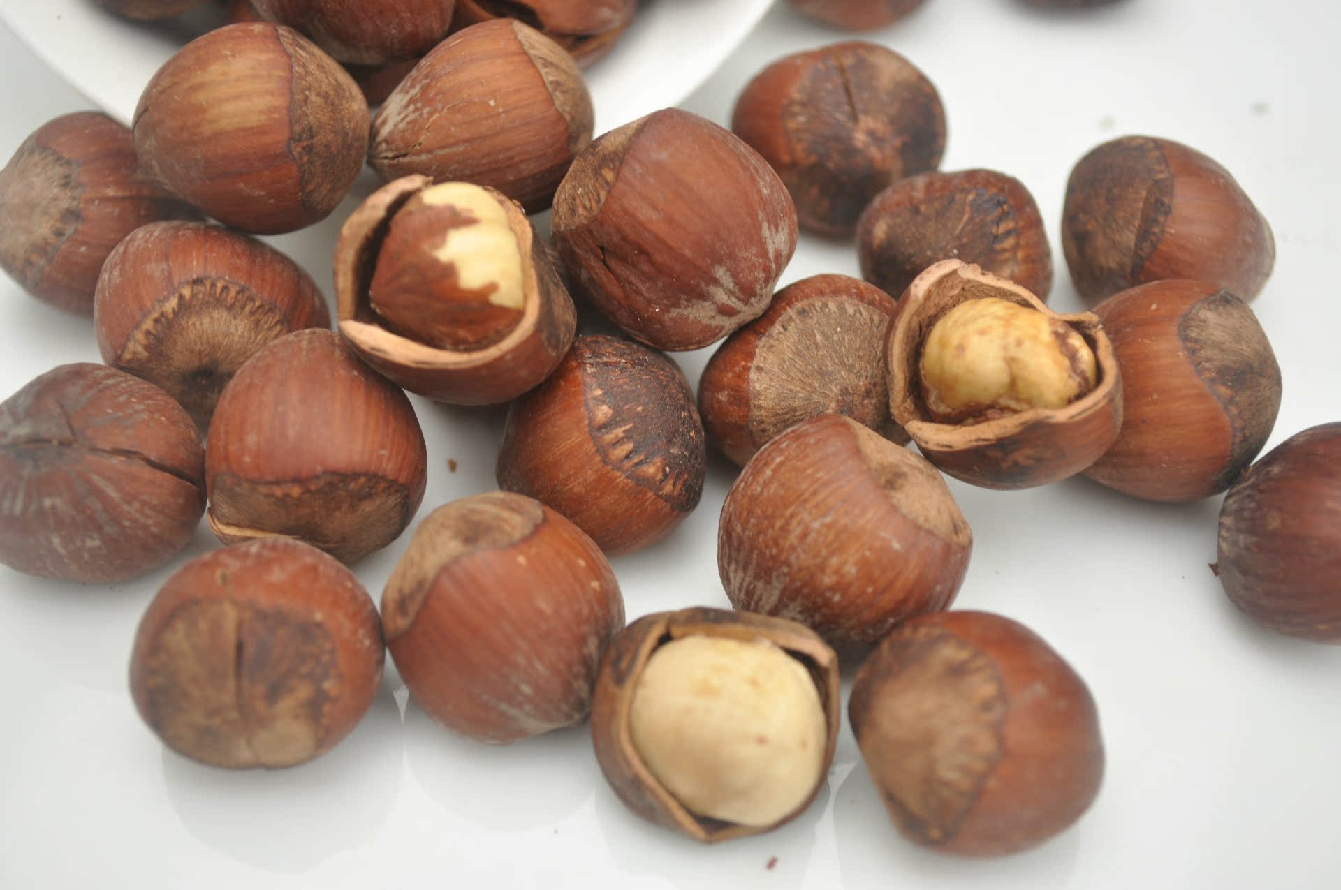 供应榛子新鲜榛子小榛子味甜