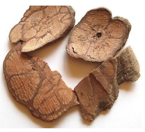 批发冷背优质中药材 过岗龙 九龙藤 正品药用 可打粉