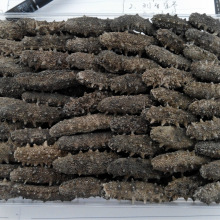 淡干海参_厂家批发 光参 酒店专供茄参 海茄子