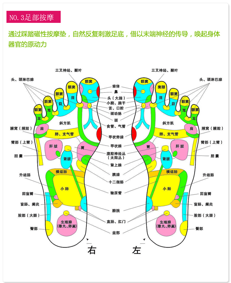 迈切尔 磁石扭腰盘