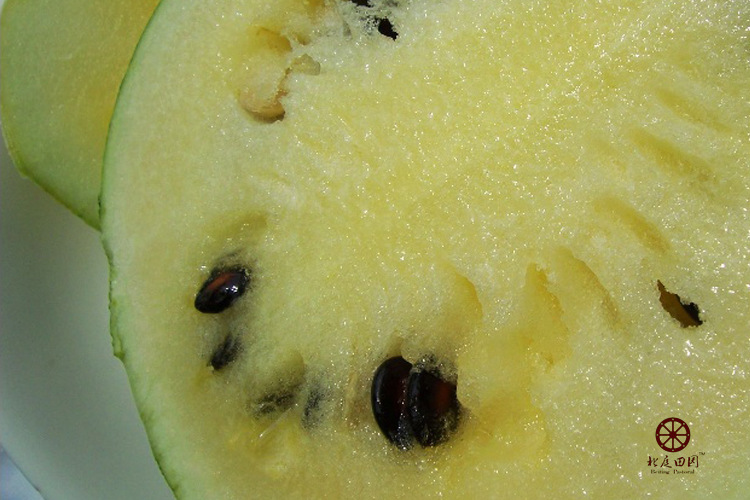 精选西瓜子打瓜子2016年新货良种种子(大片)