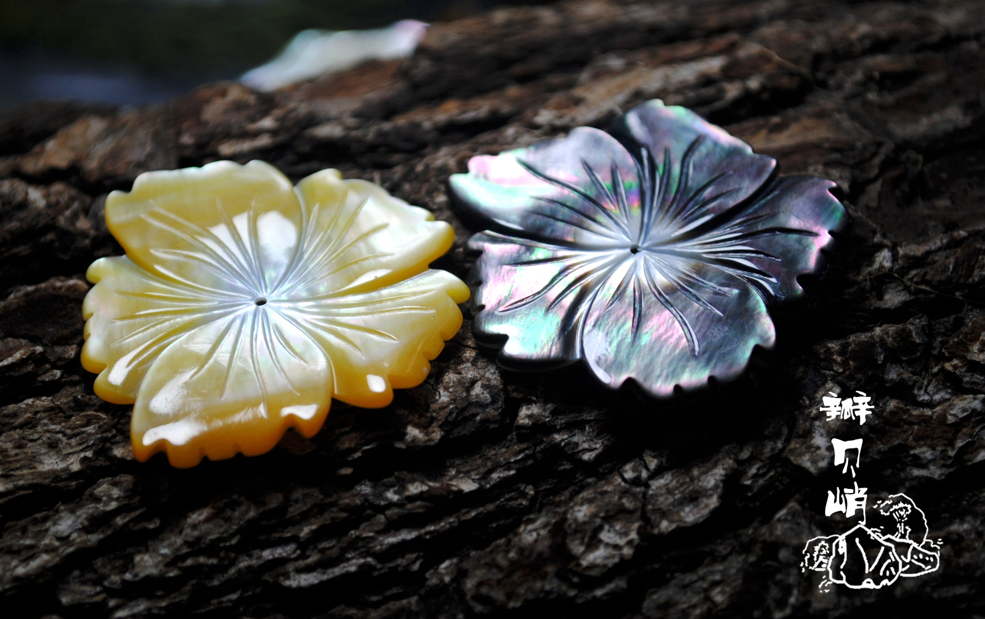 黑贝芙蓉花黄贝28--30随形自由型贝壳花diy材料饰品配件发簪发饰