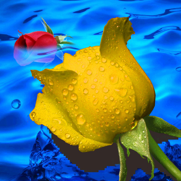 新款钻石画 滴水玫瑰5d魔方圆钻客厅装饰十字绣 diy钻石绣批发