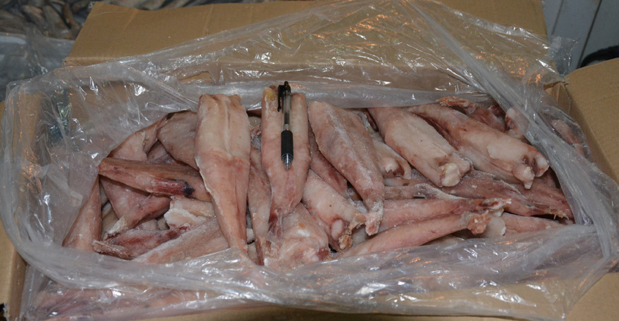 山东特产冷冻安康鱼 去皮去头水产品鱼类海鲜安康鱼2-3两 .