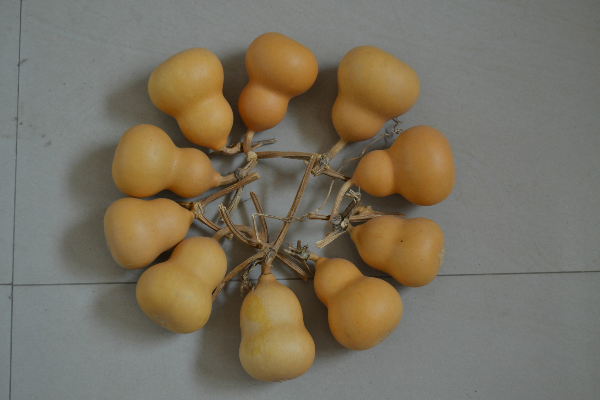 小亚腰小白皮源头葫芦天然手捻