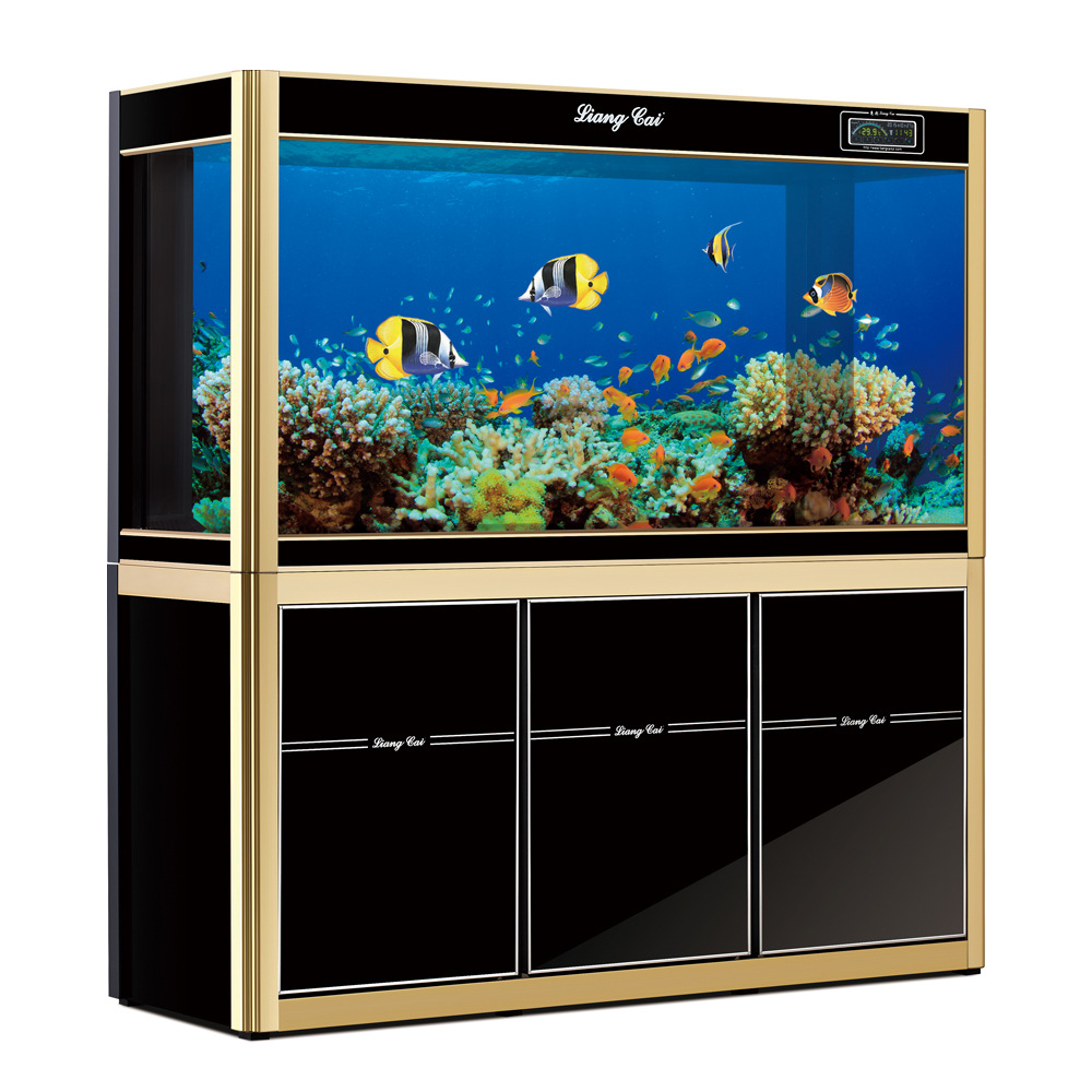 东莞厂家高档龙鱼缸 生态水族箱 观赏鱼缸 大型鱼缸 批发定做