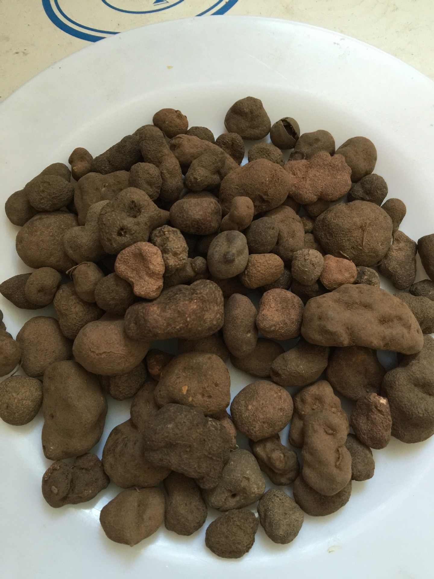 优质中药材_供应优质中药材 雷丸 正品无硫 诚信经营 - 阿里巴巴