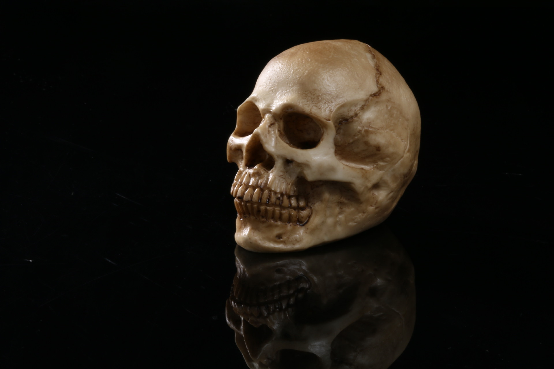 万圣节道具速卖通骷髅头骨 家居摆饰医学教学骷髅头树脂骷髅头