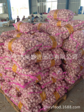 供应出口chinese  garlic,china pure white garlic,保鲜蒜,蒜头