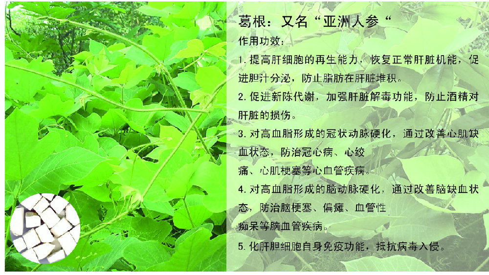 纯天然中药材 药食同源佳品 低温烘焙 熟葛根 美容养颜 滋补养生