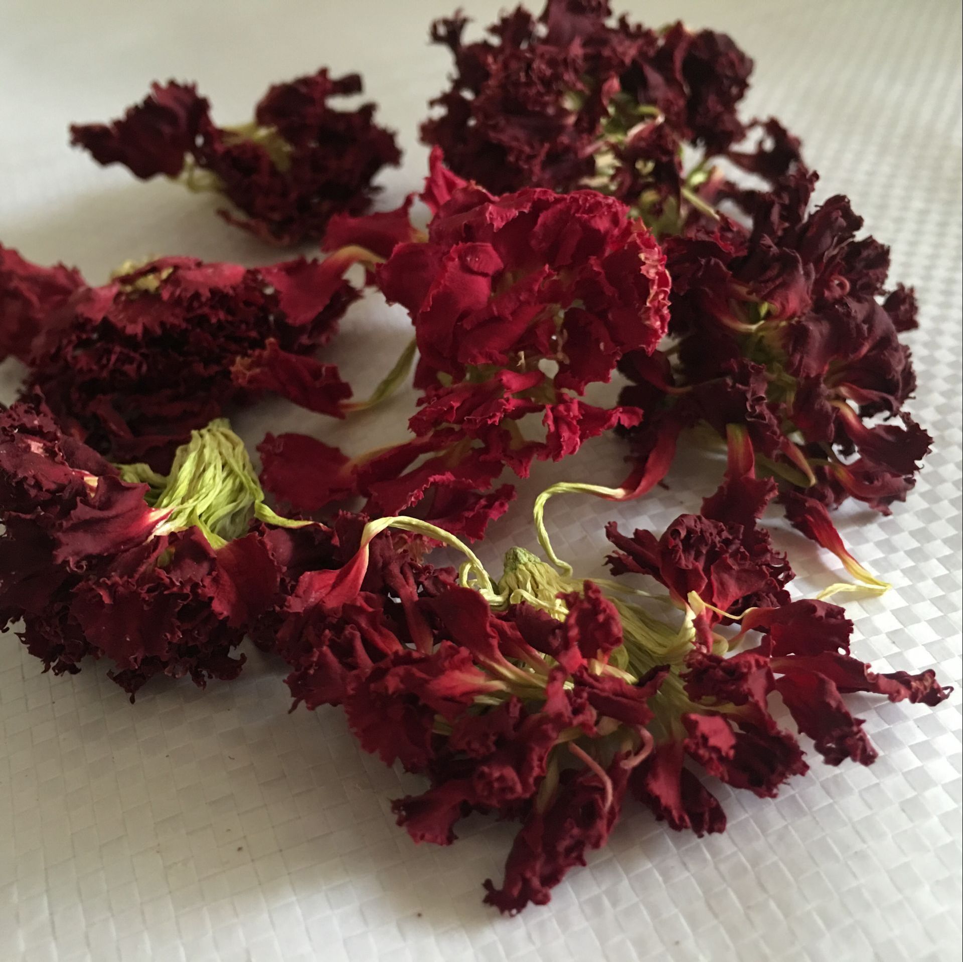 天然优质新货 康仙花 排毒养颜 润肤乌发 散装罐装花茶