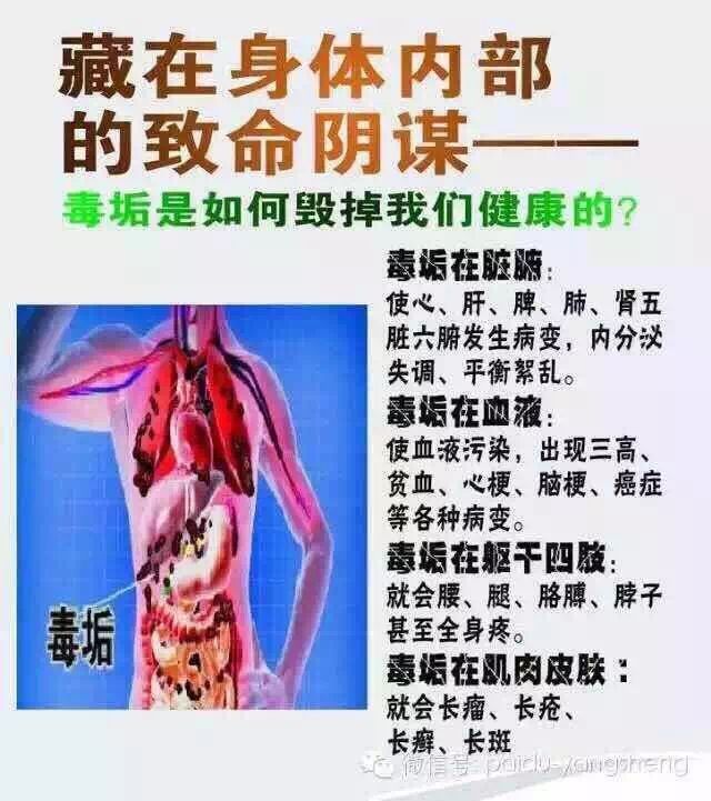台湾四季优美随便果效果好吗,怎么代理?