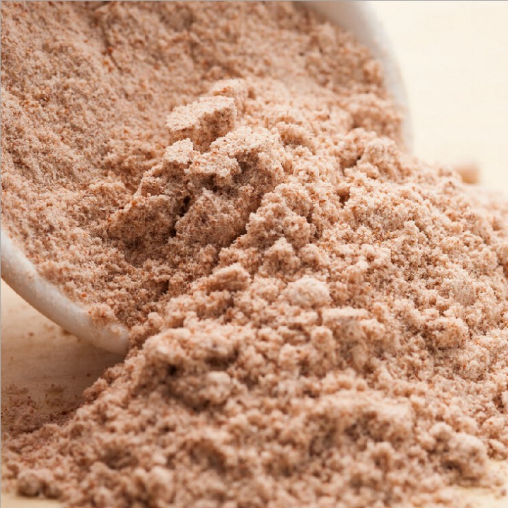 话梅粉 纯梅粉 梅子粉 厂家直销 代加工梅粉