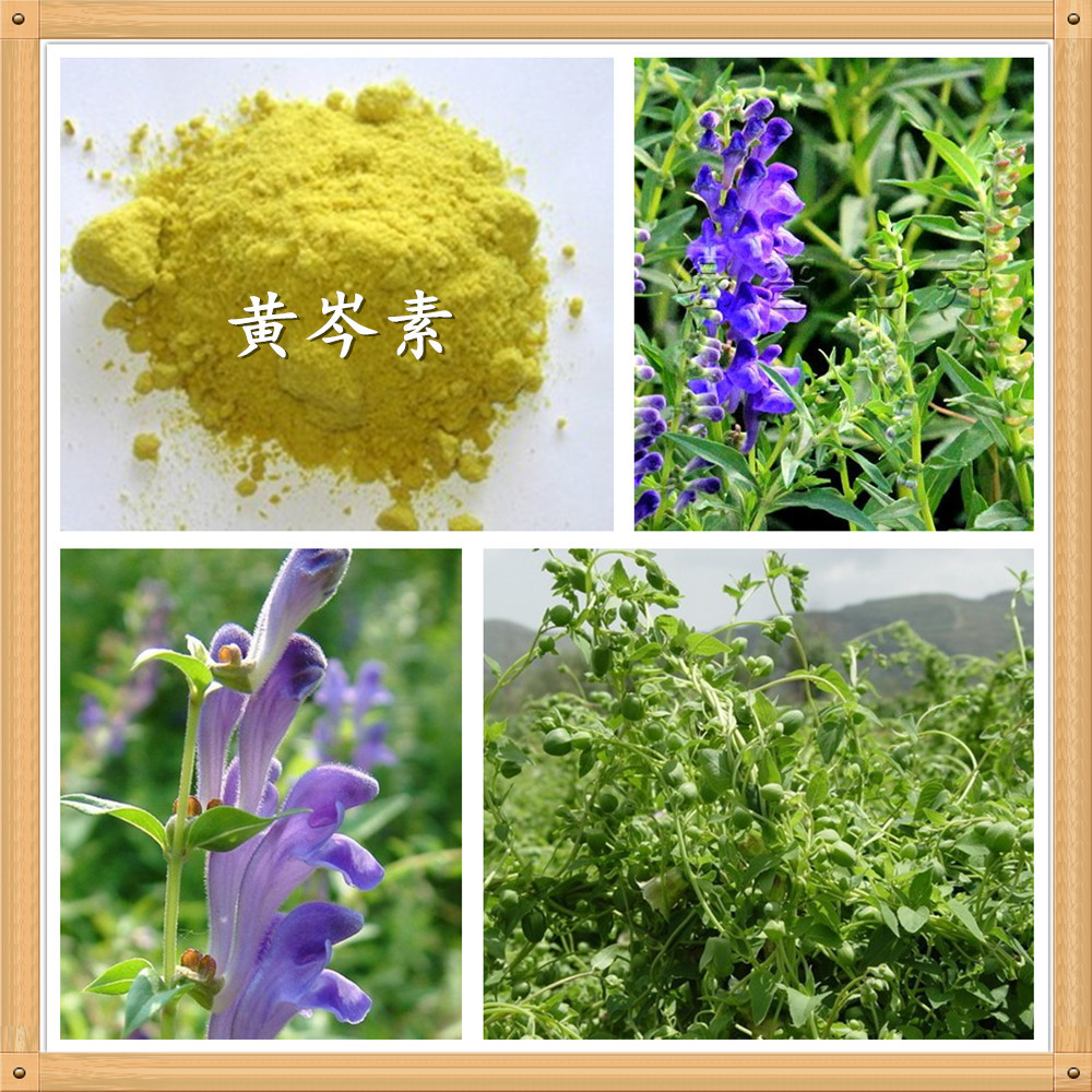 黄芩素98% baicalein 【 cas】:491-67-8 黄色粉末工厂现货供应