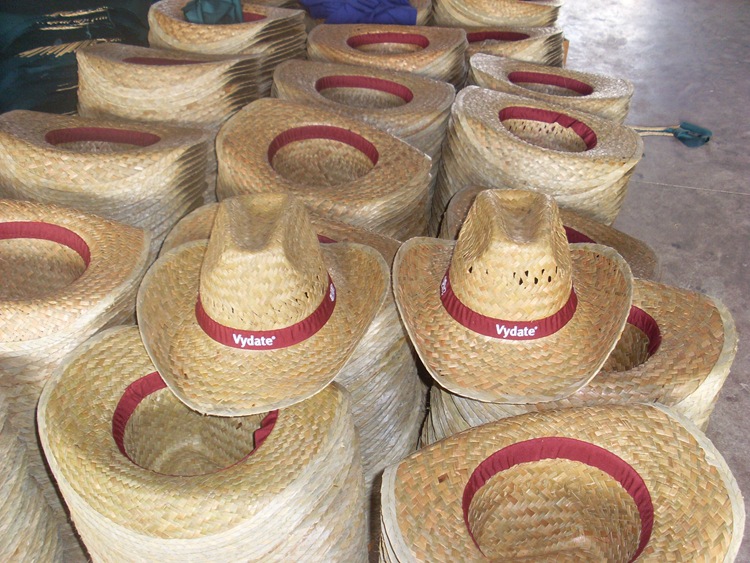 环保无污染 葵叶草一系列草帽 农民草帽 厂家批发