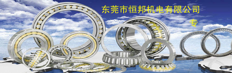 供应进口滚动轴承那智不二越i深沟球轴承 型号6005zzecm