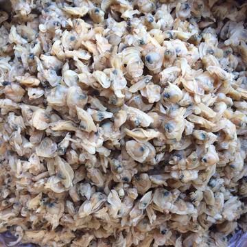 批发 花甲干 哈粒干 产地直销海鲜干货