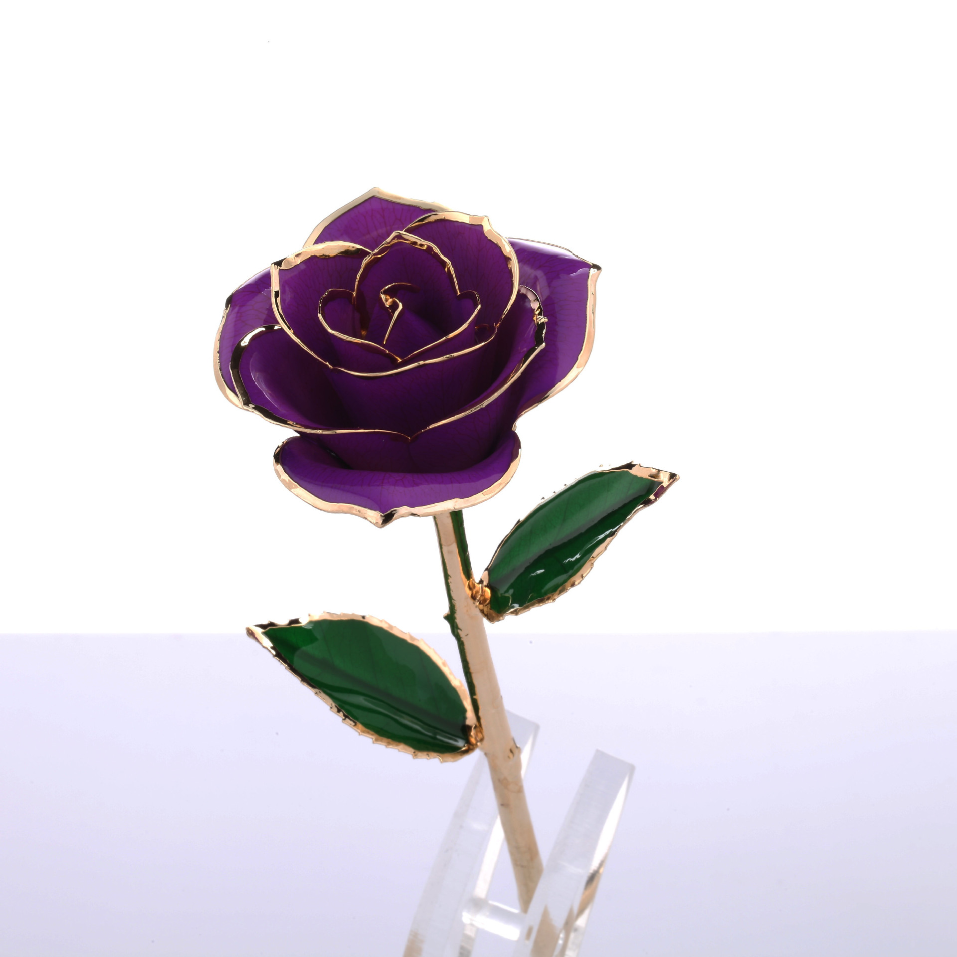 紫色迷情镀金玫瑰花 金箔玫瑰花 情人节礼品 批发跨境电商爆款