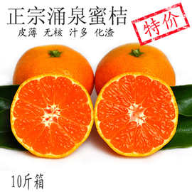 涌泉蜜桔 临海_涌泉蜜桔 临海价格_涌泉蜜桔 临