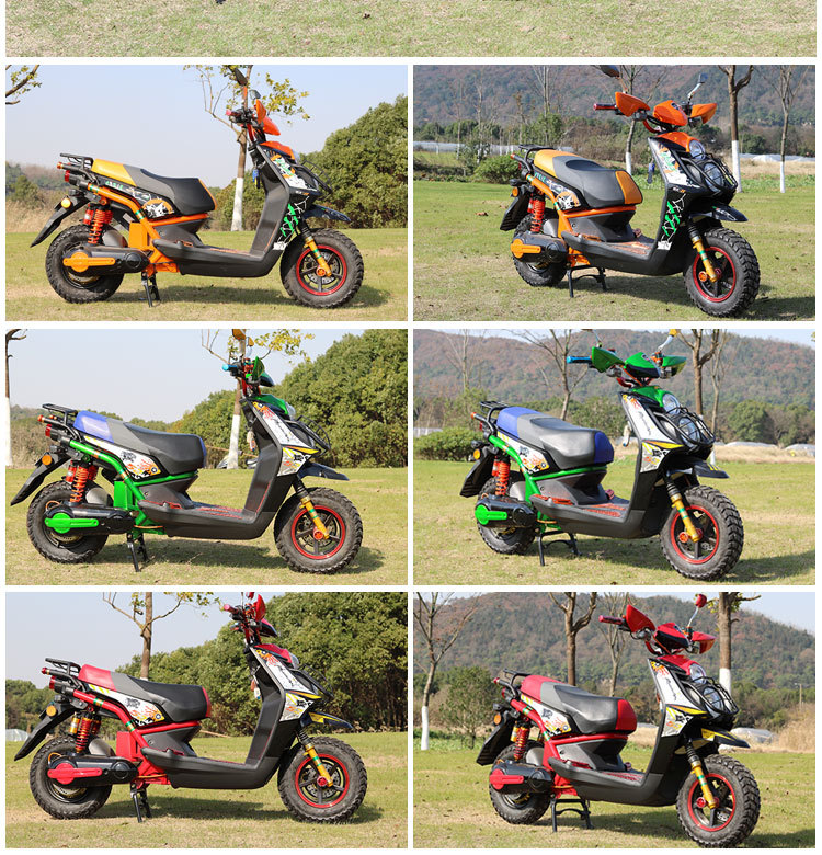 金雷豹路虎电动车 电动摩托车 正品双碟迷你电动自行车 厂家直销