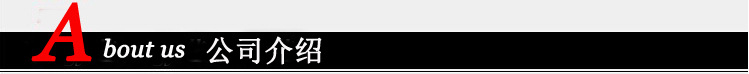 公司介绍