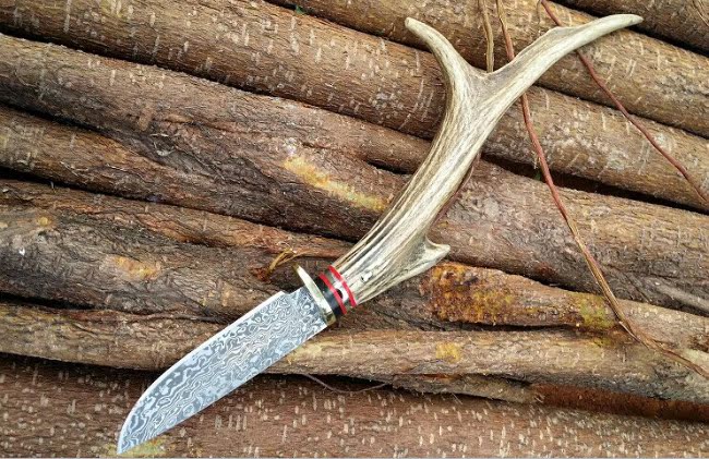 刀具 户外 军刀 大马士革刀 羊角奔腾小直刀 礼品收藏小刀 真羊角