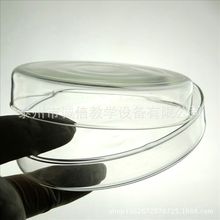 玻璃培养皿 60mm 细菌培养皿 生物实验器材玻璃耗材 中学教学仪器