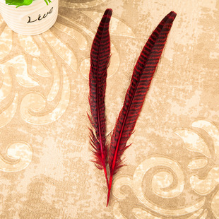 厂家直销纯天然公鸡毛 母山鸡毛 野鸡毛 各种羽毛制品 散装羽毛