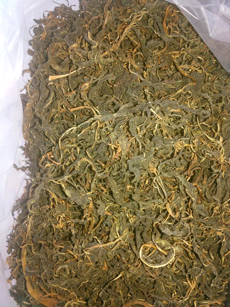 厂家井冈山特产苦斋菜又名红军菜优质产品新品促销