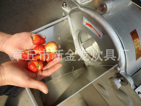 CHD100型切丁机 (1)