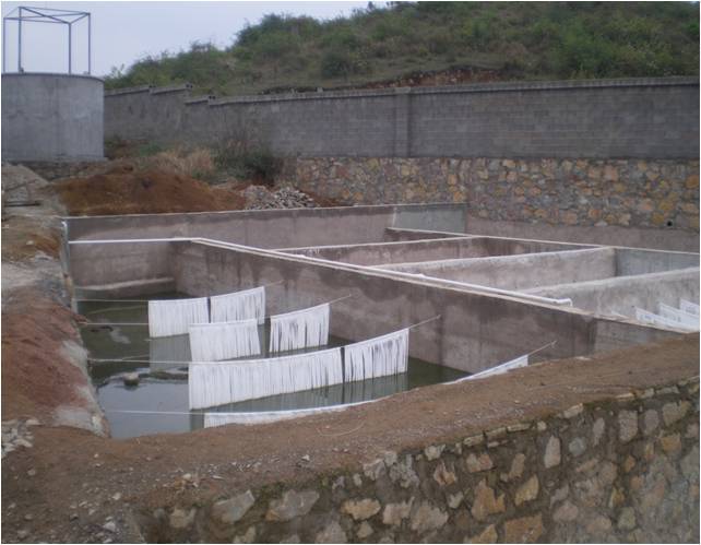 养殖废水 (1)