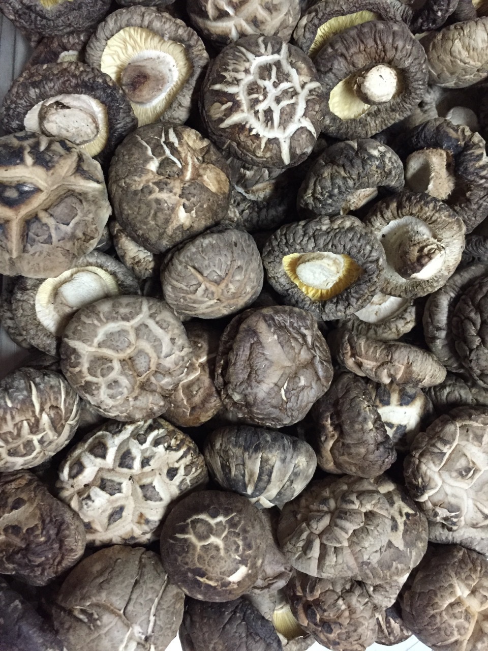 精选野生小花菇 278g盒装 养生 特级