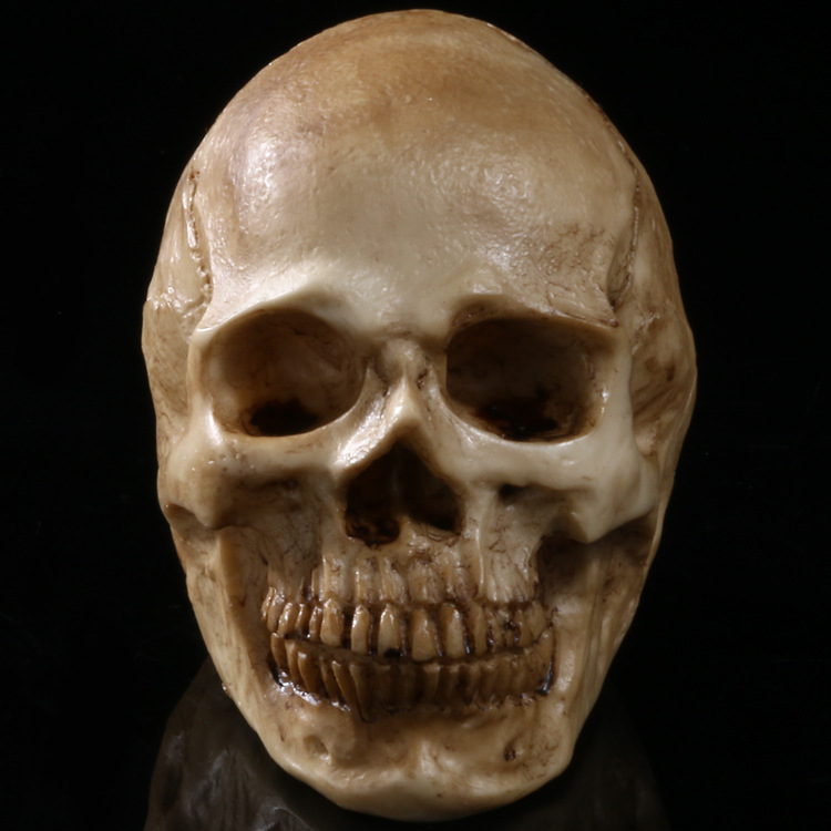 医学头骨标本医学模具树脂骷髅头万圣节整人道具工艺品头骨模型