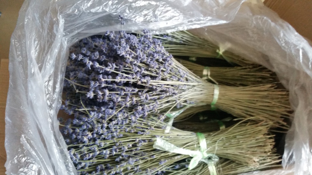 太空蓝薰衣草花束树枝