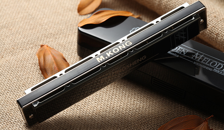 孔声24孔黑色复音口琴 ks-2403gm成人演奏初学练习乐器口琴