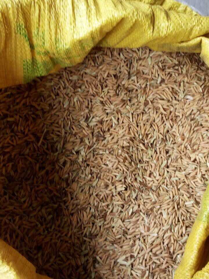 按照不同的方法,水稻可以分为籼稻和粳稻,早稻和中晚稻,糯稻和非糯稻.