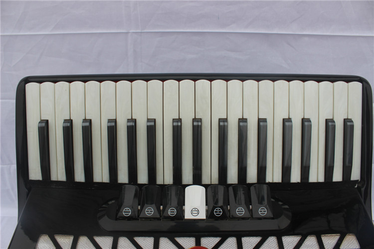 手风琴 乐器 批发 白件子22 黑件子 15 音171 - 中国乐器批发交彝网