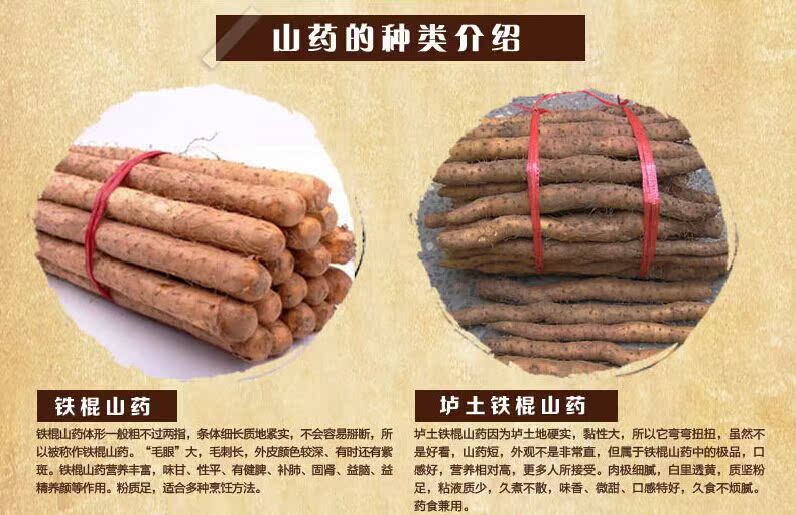 山药种类