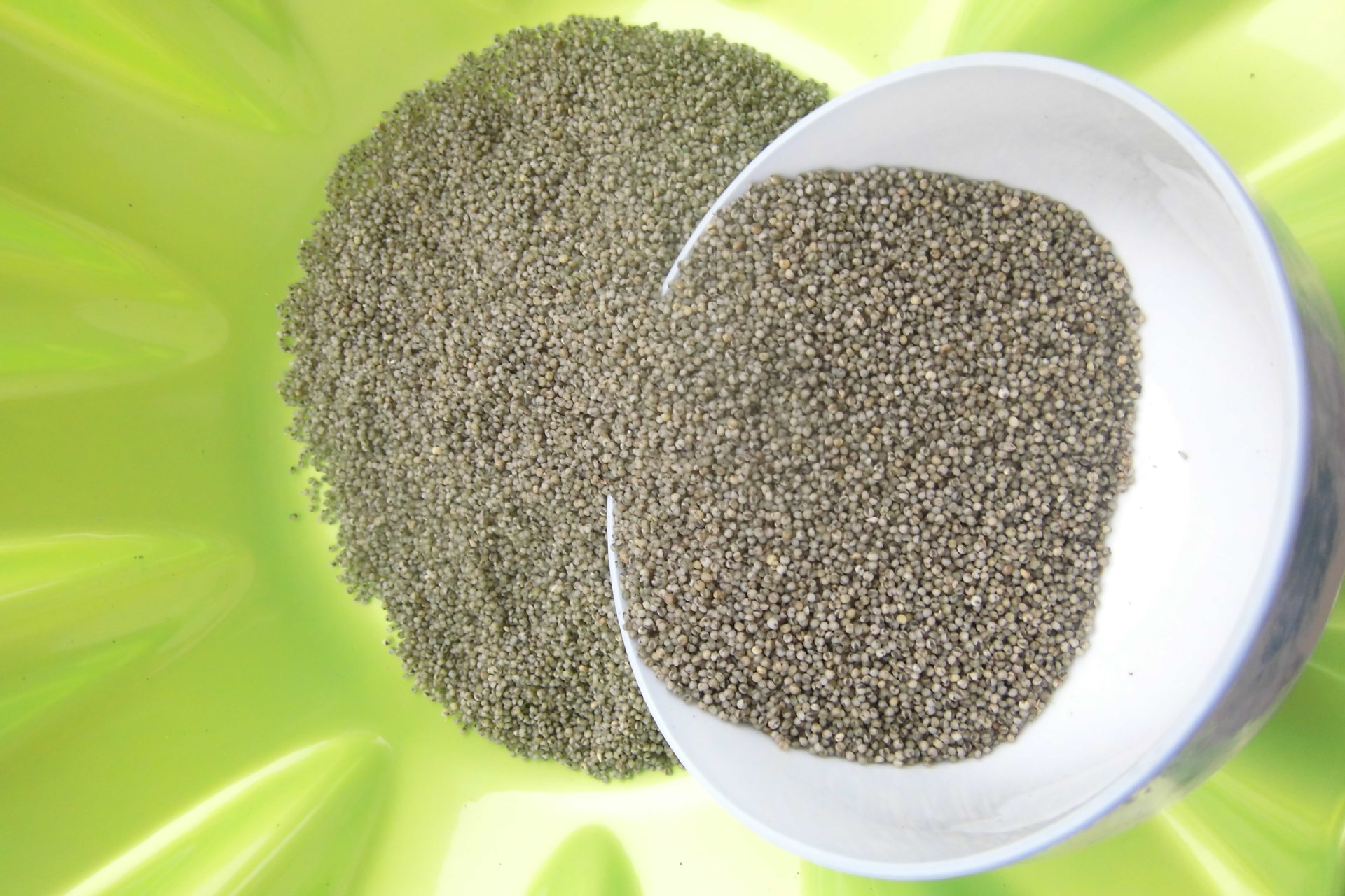 沂蒙山生态农场黑小米养胃小米杂粮月子米农家有机小黑米一件代发