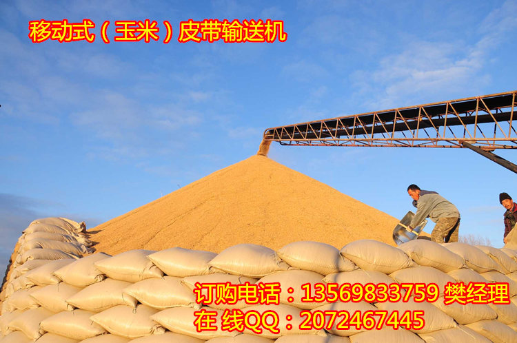 玉米皮带机